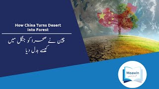 How China Turns Desert Into Forest