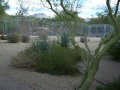 Scottsdale home in Grayhawk for sale BILLSCOTTsdale homes.com.wmv