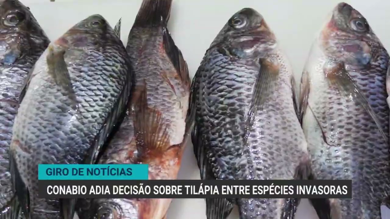 Serasa: inadimplência rural fecha 2025 no maior patamar da série trimestral | Giro de Notícias