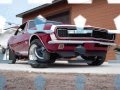 AMERICAN-MUSCLE-CARS