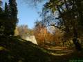 videos de Ambient music - Coldvalley autumn
