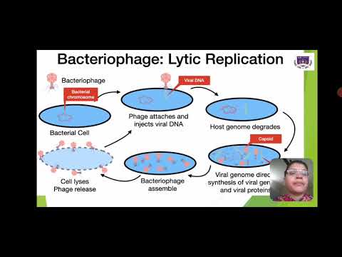 VIROLOGY PART 1_LCS