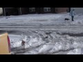 Sony Webbie HD 1080 (30p) Video Quality Test