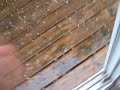 sept 6???2006 i think hailstorm in london ontario