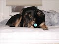 THANKS FOR RESCUING ME THANKS FOR RESCUING ME