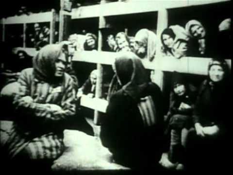 Liberation -