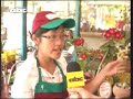 Orquideas y rosas exoticas