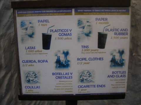 Minorca 2007 (son xoriguer)