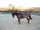 orfee au boulot orfee au boulot