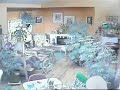 Gato presiente el Terremoto en California Earthquake - 9 Enero 2010 (Magnitud 6.5º ...