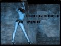 sesion electro house ii mayo 2008