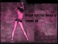 sesion electro house ii mayo 2008