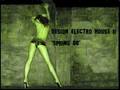 Sesion Electro-House II Mayo 2008