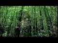 the Warlocks - Surgery