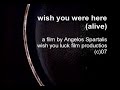 Wish You Were Here (Alive)