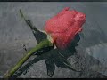 U�urumun Kenar?