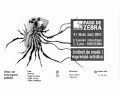 Paso de Zebra