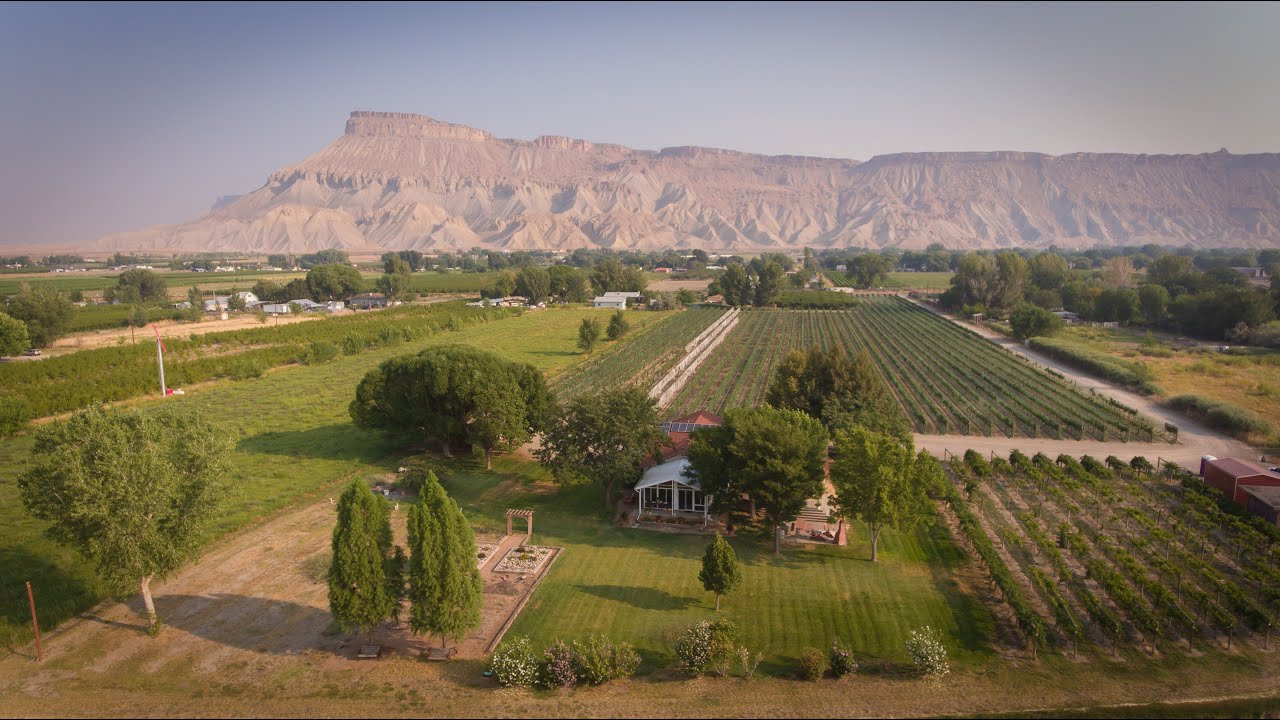 Instructional Home Videos Fruit and Wine Real Estate