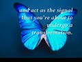 Butterfly : Mystery of Transformation