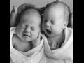 Bebes