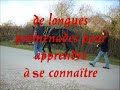 CHEVAL DE TRAIT