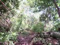 DOWNHILL DOWNHILL