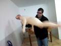 videos de borrego a foder a sua leonor.mp4