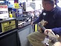 JSX Peavey 120 watt head quick demo using ZOOM Q3 and Washburn N4