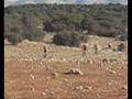 videos de Bicycle trip to Adulam hills