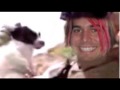 Popular Animal Abuser