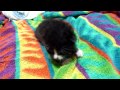みうたん４日目