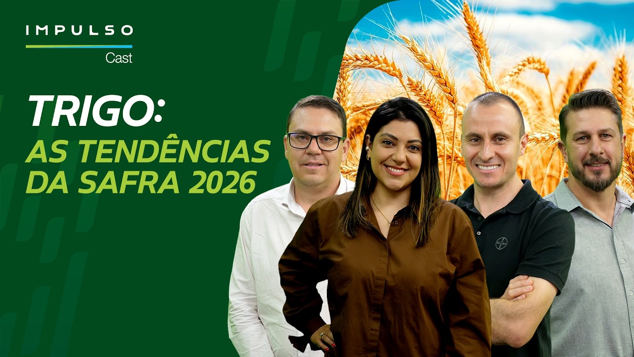 Trigo: as tendências da safra 2026 | Impulso Cast Ep. 44