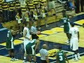 Cal Bears