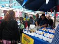 supermooie haring superlekkere haring dappermarkt supermooie haring superlekkere haring dappermarkt