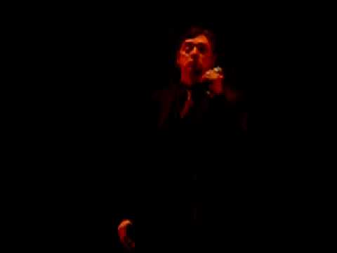 anbb mimikry - ANBB - Alva Noto Blixa Bargeld - Berghain (Mimikry) - 26/03/2011 - Teatro Regio - Parma.