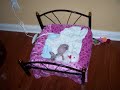 Fiona Sphynx Kitten