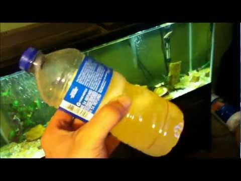 how to eliminate ethanol in gas