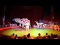 Atayde Circus
