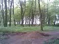FREESTYLE ! 2 drzewka team ! :) PROCHOWICE ATAKUJ? !!!!! FREESTYLE ! 2 drzewka team ! :) PROCHOWICE ATAKUJ? !!!!!