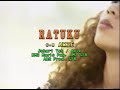 karaoke - ratu ku - awie