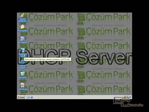 how to check dhcp discover