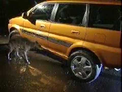 BMX BIKES TRICKS STUNTS CRASHES