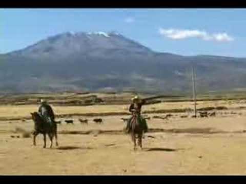PAJONAL PAMPA -AYACUCHO- PERU
