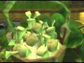 YouTube - Let's Play Psychonauts - Part 37 - Starting The Battle