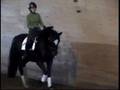 Dressage Mare - Gem (Low Bandwidth Version)