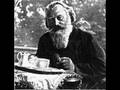Johannes Brahms (1833-1897): Hungarian Dance no.1