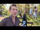 International Foundation Programme (University of Reading)