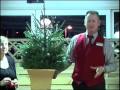 Living Christmas Tree Demo at Dobbies