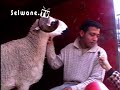 See Video