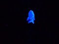 Blacklight Dance Session Part II